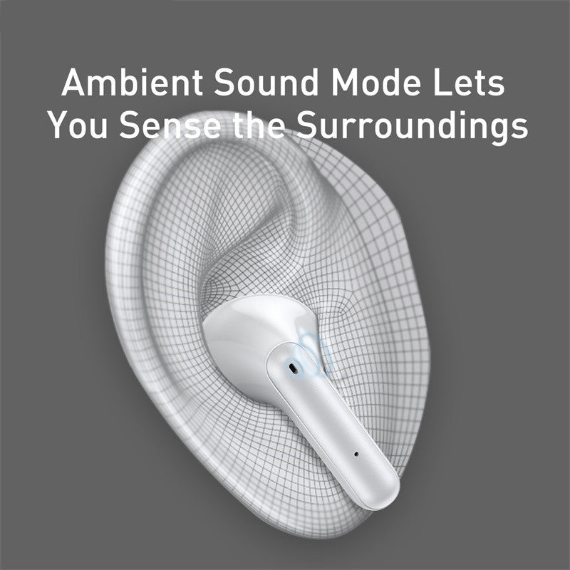 Dual ANC Earphones