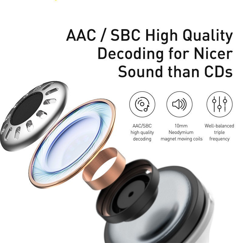 Dual ANC Earphones