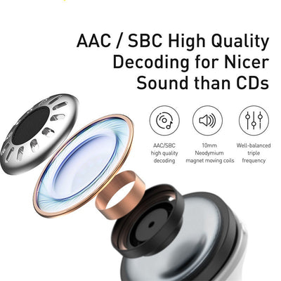 Dual ANC Earphones