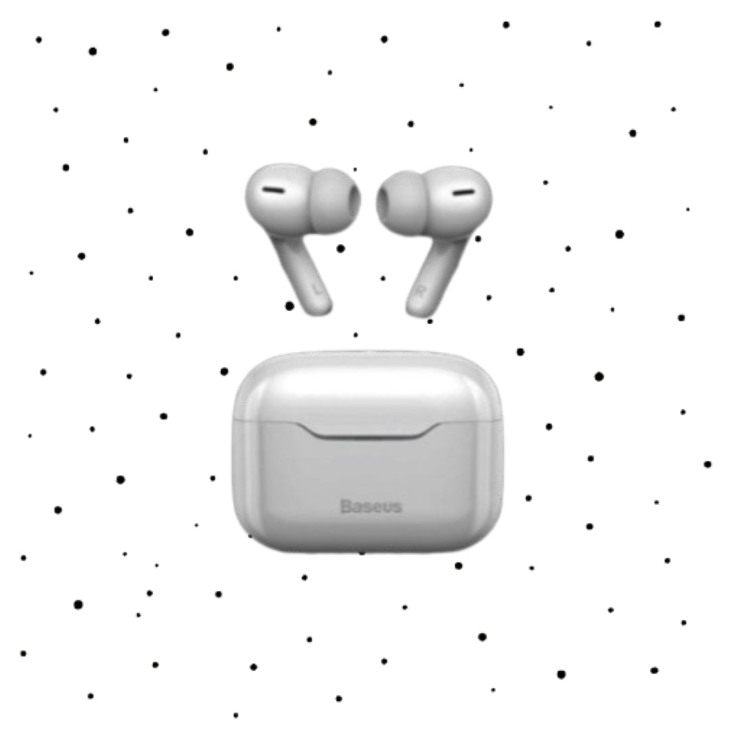 Dual ANC Earphones